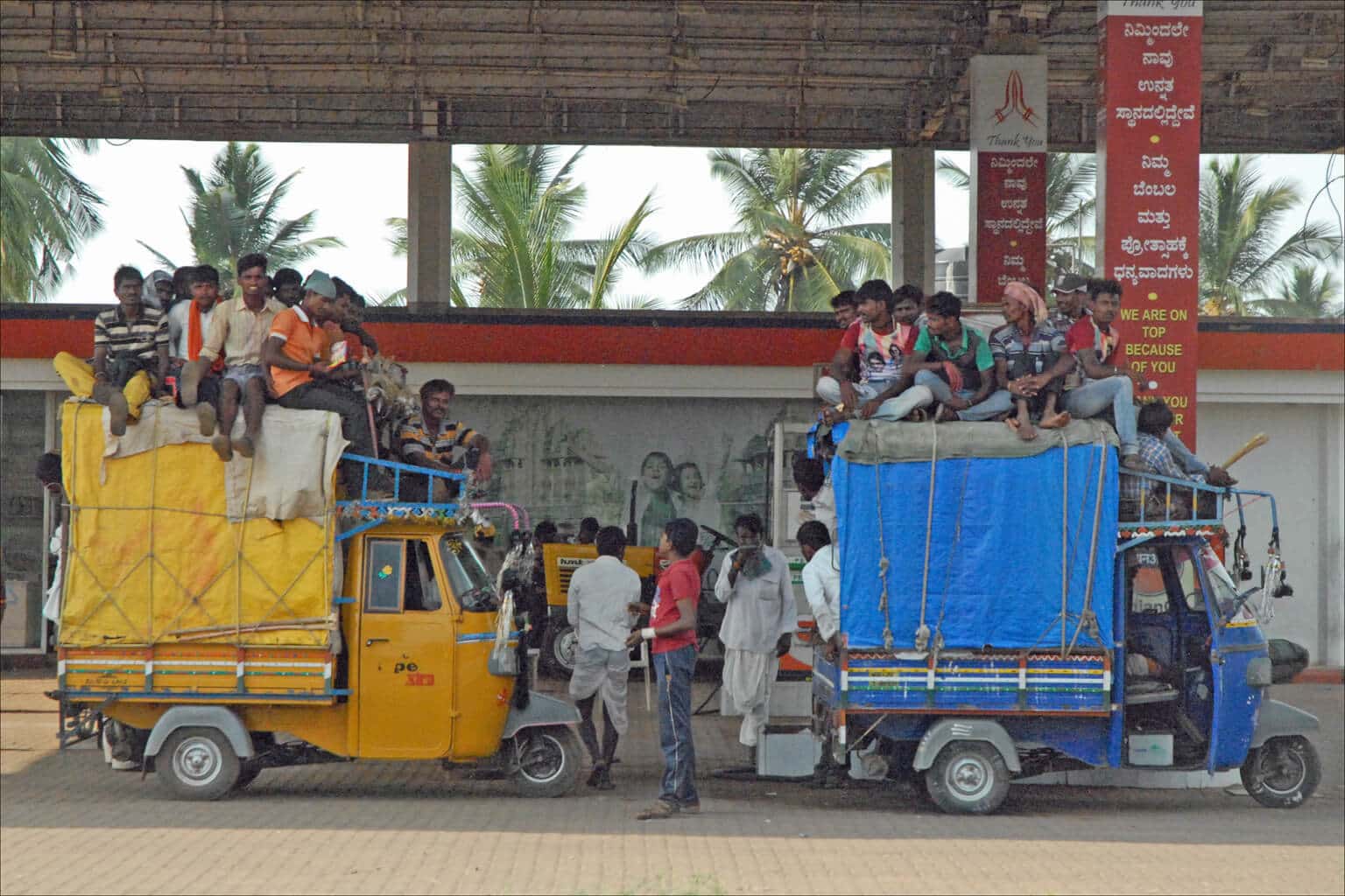 Indian public. Transport Reviews Journal.